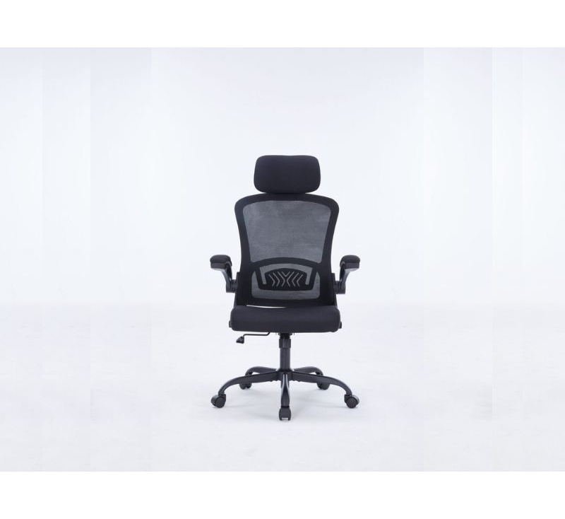 Ghế công thái học ergonomic WARRIOR Pawn Series WEC106 Black